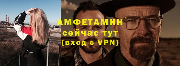 прущие грибы Вязьма