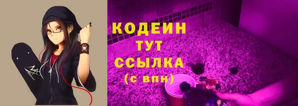 прущие грибы Вязьма