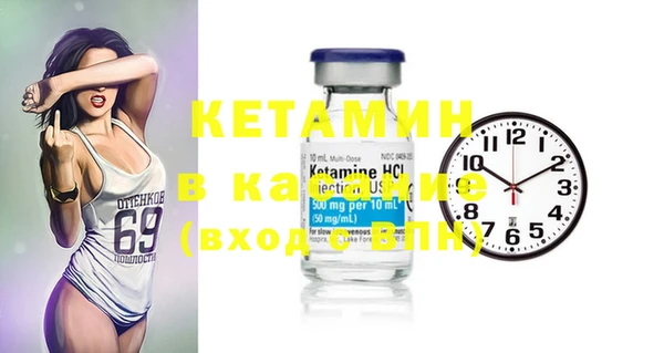 прущие грибы Вязьма