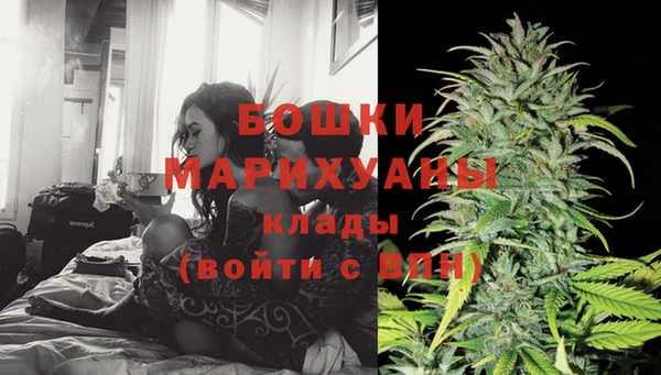 гидра Волоколамск