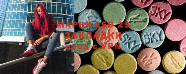 прущая мука Вяземский
