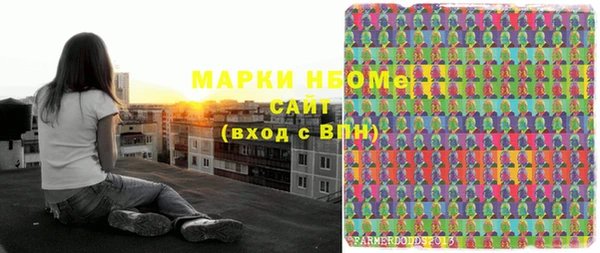 прущая мука Вяземский