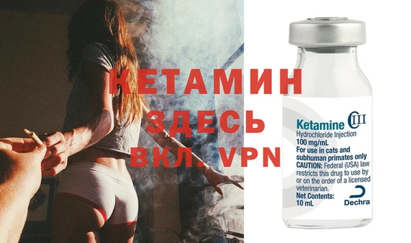 прущие грибы Вязьма
