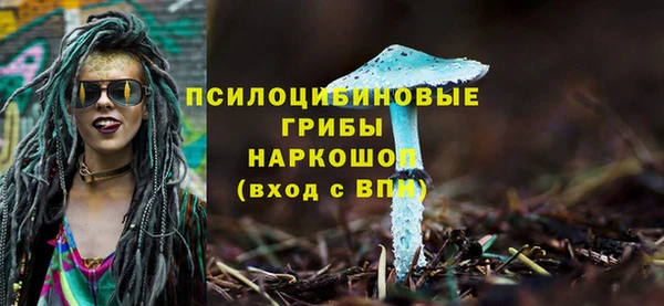 прущие грибы Вязьма
