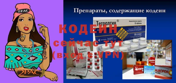 прущая мука Вяземский